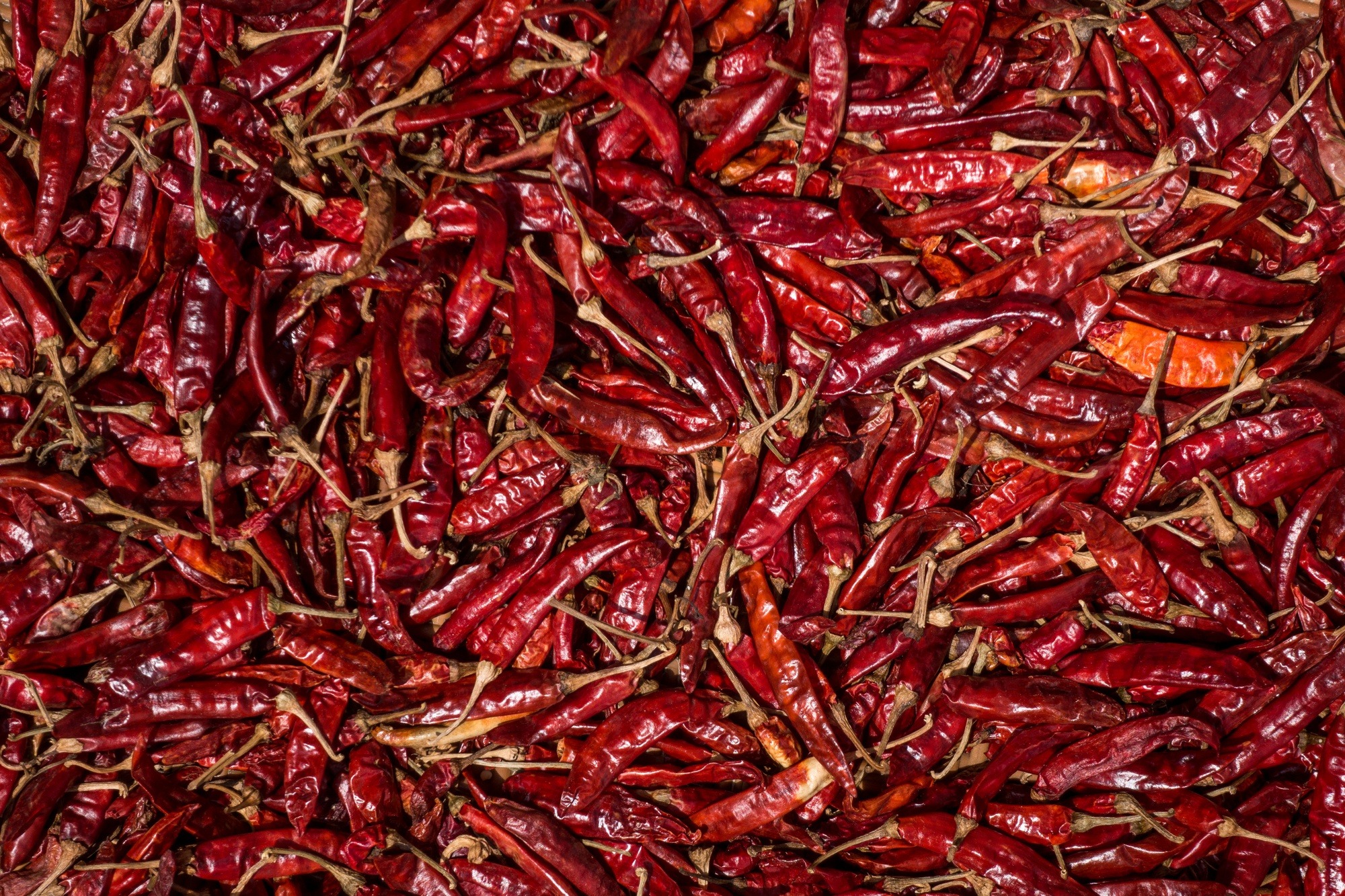 Premium Red Chilli Powder