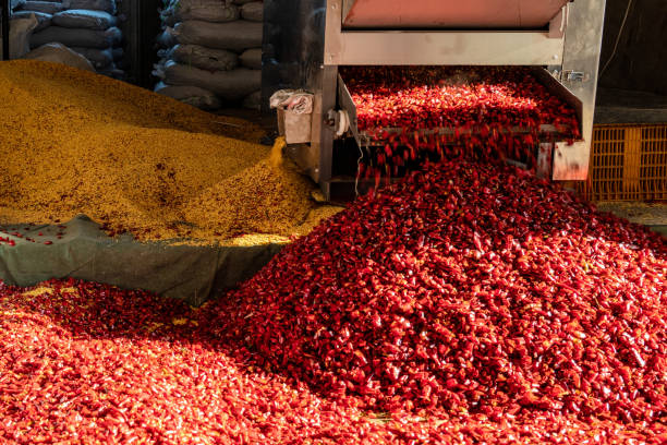 The machine is processing hot pepper